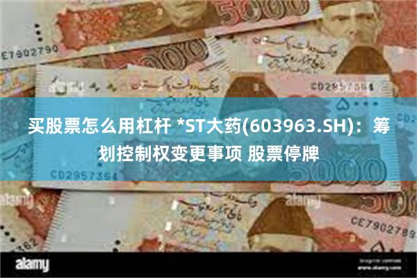 买股票怎么用杠杆 *ST大药(603963.SH)：筹划控制权变更事项 股票停牌