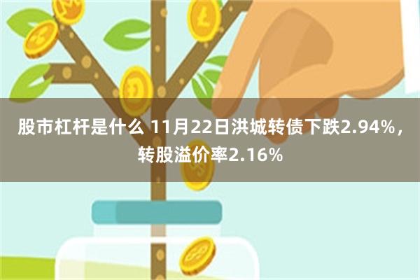 股市杠杆是什么 11月22日洪城转债下跌2.94%，转股溢价率2.16%