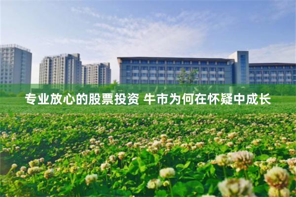 专业放心的股票投资 牛市为何在怀疑中成长