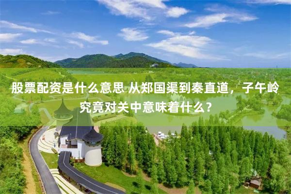 股票配资是什么意思 从郑国渠到秦直道，子午岭究竟对关中意味着什么？