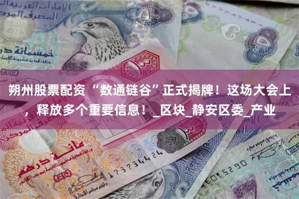 朔州股票配资 “数通链谷”正式揭牌！这场大会上，释放多个重要信息！_区块_静安区委_产业