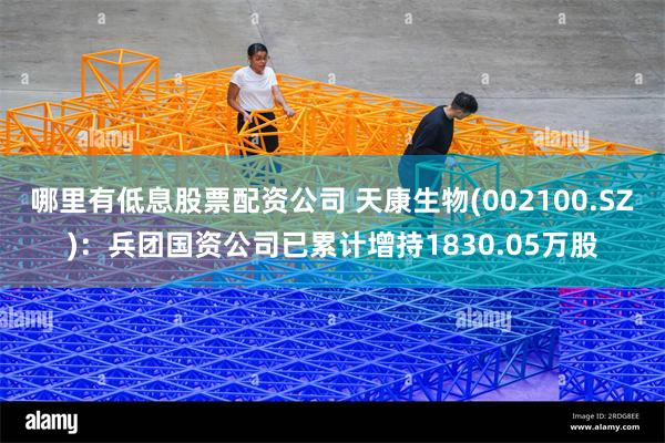 哪里有低息股票配资公司 天康生物(002100.SZ)：兵团国资公司已累计增持1830.05万股